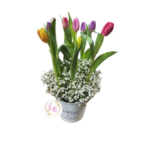 0872c13b-d445-4a57-aee3-8953e2dc5e92