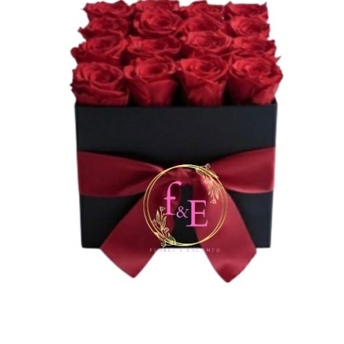 09cf0d34-e12a-4708-a9e3-1de275836881