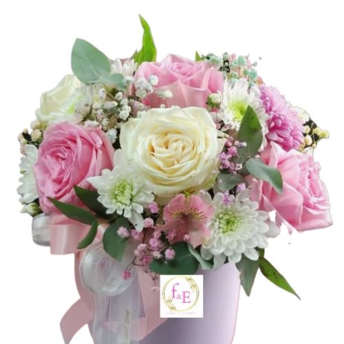 0f776d5e-cd2a-465b-abce-381e1db201c1