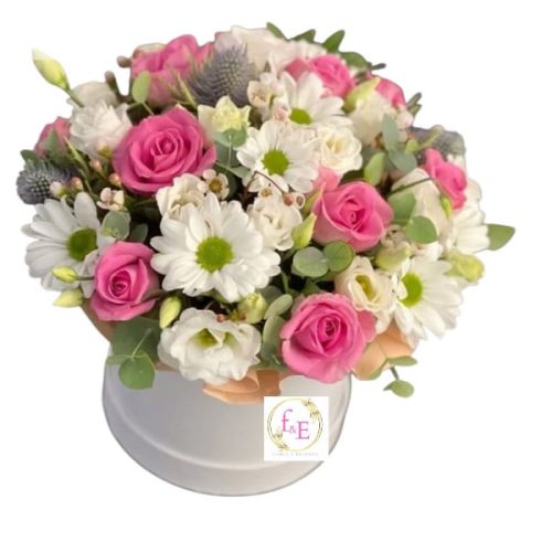 2499d2a2-8d2a-4c0f-94f3-a94dac3202d3