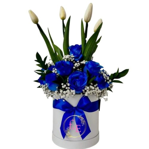 25b6965d-9d38-4954-bd82-802fcb5b8586