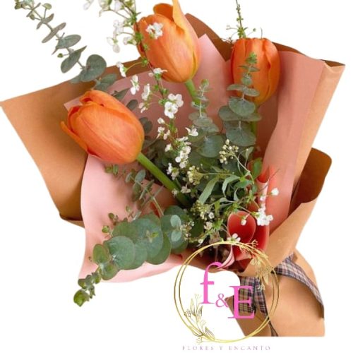 31a1a504-6435-47e4-95c0-1d88df62f0f8