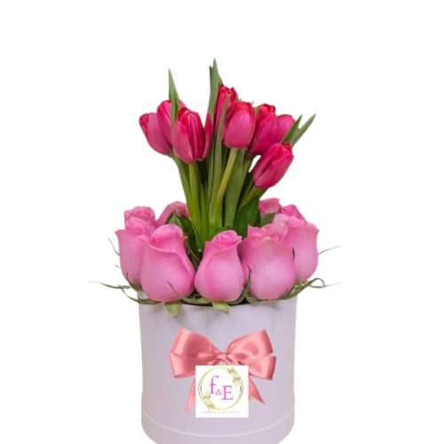 3ee16e54-8c66-4a14-bf30-f7015c6c0168