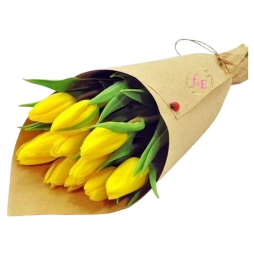 41342b97-87e9-4d2b-9e69-3c38585945b6