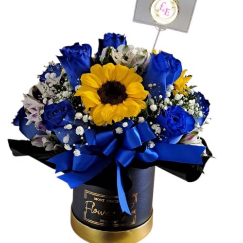 49380c6a-f4b4-4969-b290-a0822a5c1b48