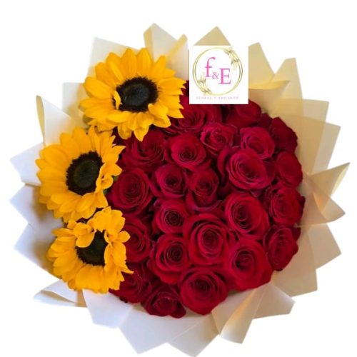 4a4c8eff-8aaf-4b3e-8648-523265f185f5