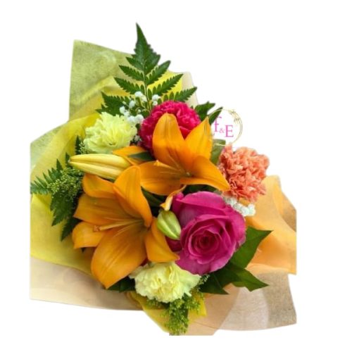502fcf0b-632c-41dd-9608-71c9c023d65c