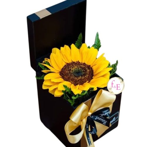 55321f5a-8b38-40d0-9101-95bd1f390d54