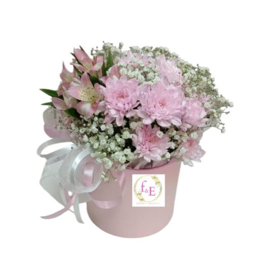 564f491b-8e4e-4912-9b25-f3ab5e8b890d