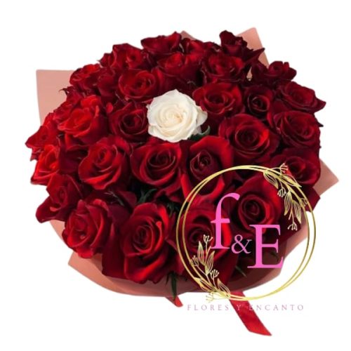 77b29538-24f5-4331-b4fe-afeb38cab6ce