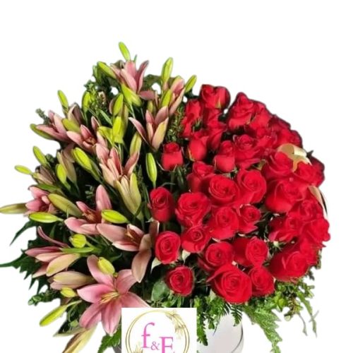 79f6fb4c-36f4-487e-a2c4-84e03b8d5588