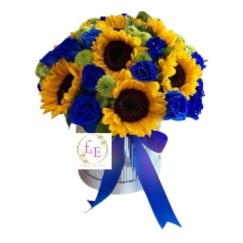 85d14dc6-81fc-448b-b7d6-c6a03b82e81b