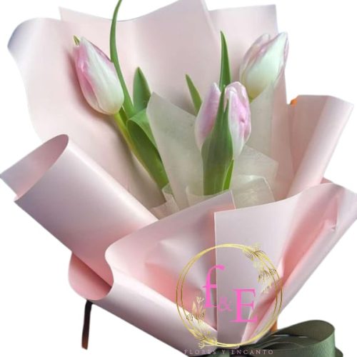 9e17ab8f-f68b-48a8-bf96-7a6eabdc4221