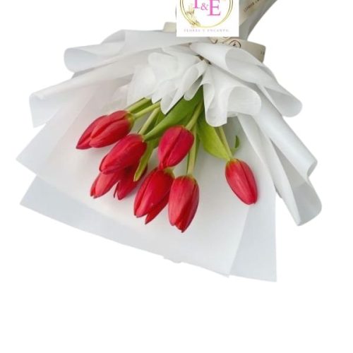 a08b70e5-1afb-469e-ae5e-2b5c693d9008