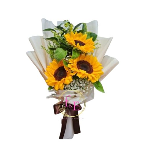 a31ab2c2-99bf-4bc5-80b5-f4387af8a55e