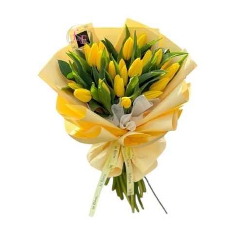 a7321940-c480-442c-a2bd-0ad086d42d1d