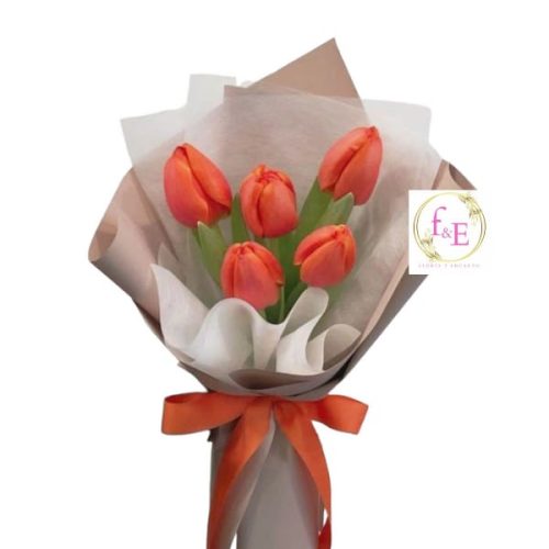 b33168eb-f44e-467a-842c-0df824c6d675