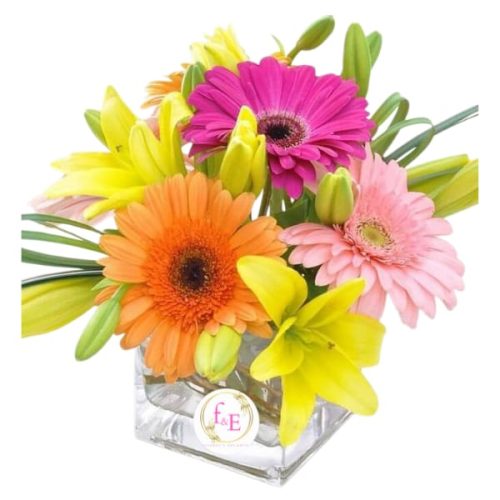 b78340b1-c63d-403e-a720-e3ac75eea33e