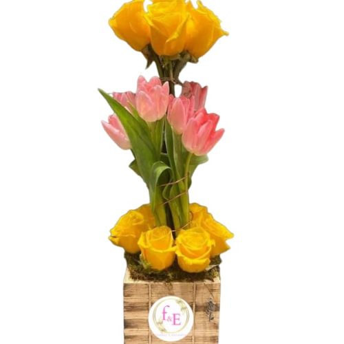 bbd09427-c5f0-440d-9e23-2a02169152dd