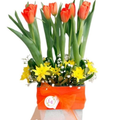 c00017f6-68d3-4035-a878-14f02caffcc2