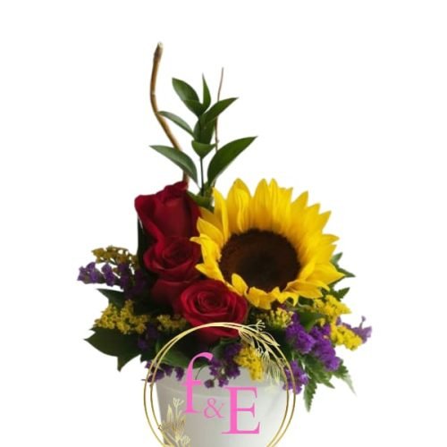 d4b55c90-0e42-4681-9372-c08bd724de55