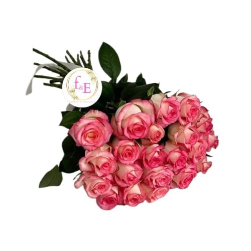d74ec98f-ecaf-4bb1-aee1-bd27c080b883
