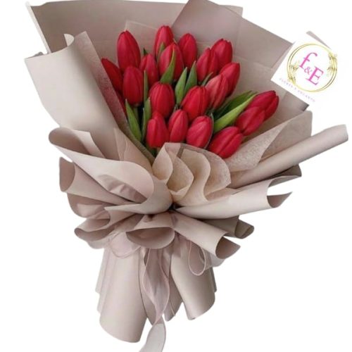 dcd534cc-d7e3-452f-87b9-e4983c58ac3b