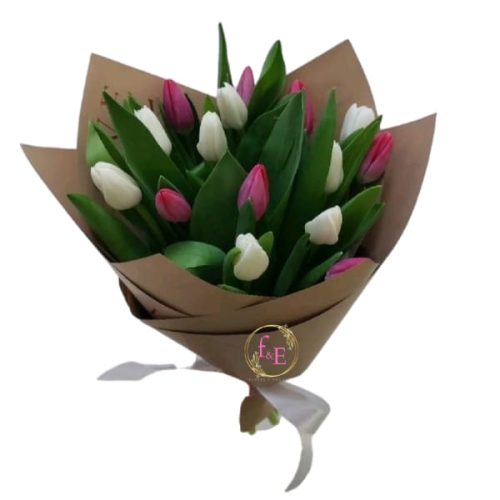 e6e408da-1b69-4e2b-92c6-88ee58bb3cd8