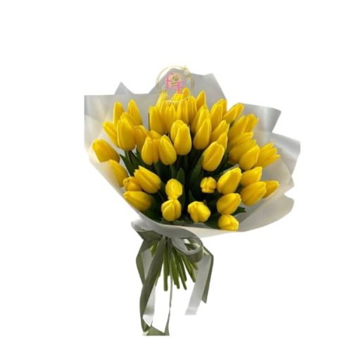 ed76cfad-23ad-415c-972a-fb6056e1992d