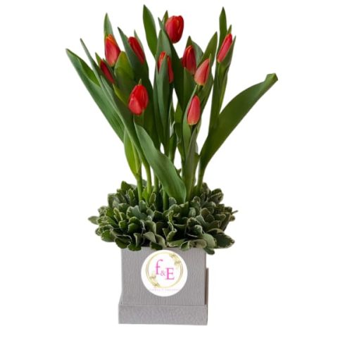 f34715d9-4ccb-48b0-b404-c99dbdfdef27