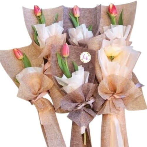 pack de tulipanes